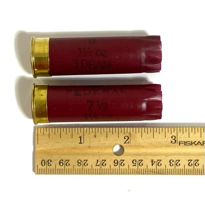 Two dark red twelve gauge shotgun shells lying next to a ruler showing length and diameter measurements.