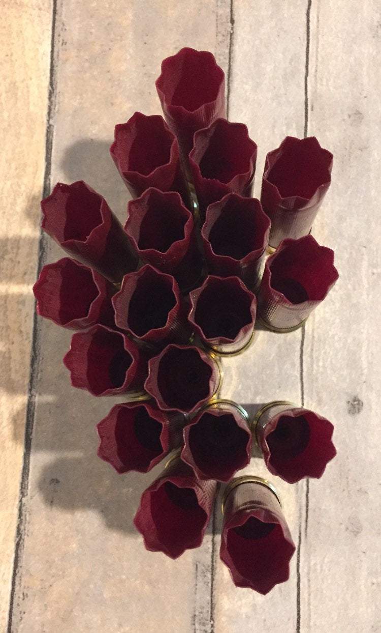A cluster of empty dark red Federal twelve gauge spent cartridges upright showing open 8-star crimped ends.