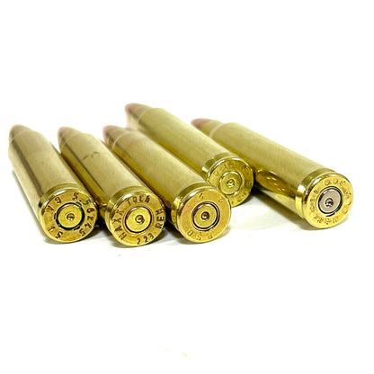 Five brass dummy cartridges lying on a white background, showing detailed spent primers and headstamps.