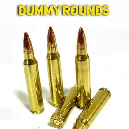 Five polished brass dummy rounds with new bullets standing and lying on a white background, overlay DUMMY ROUNDS