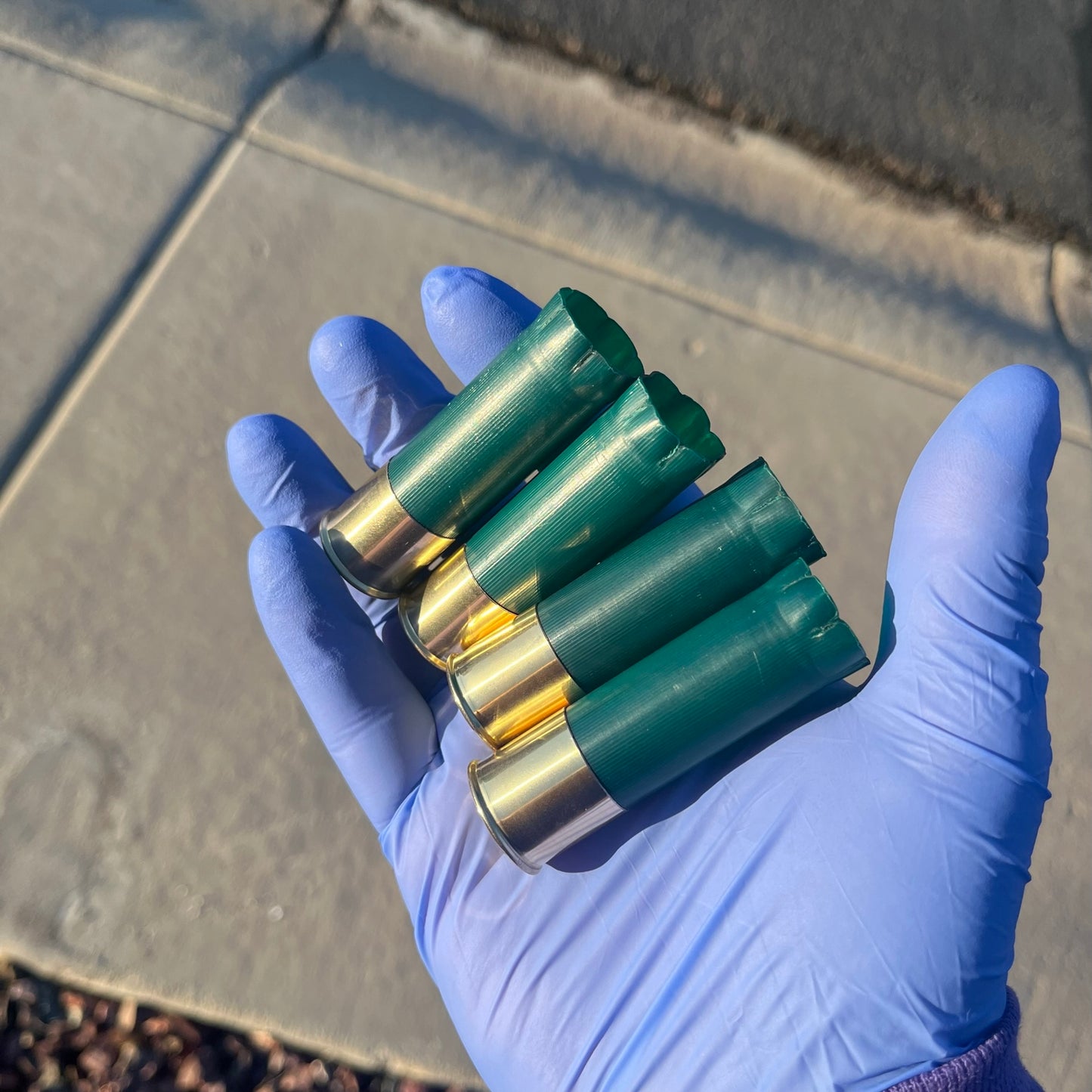 Five empty green casings held in the palm of a hand wearing a blue nitrile glove.