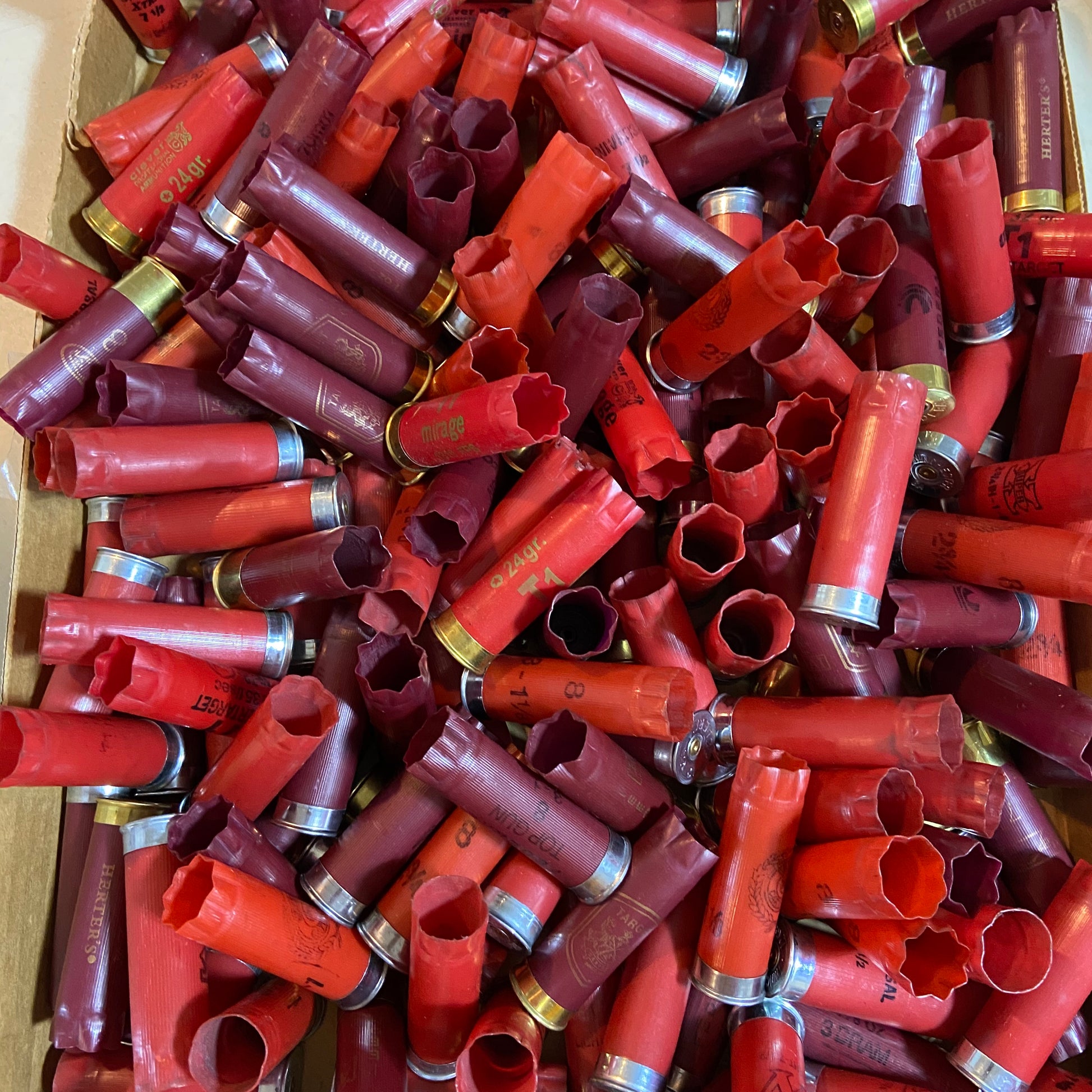 Empty Shotgun Shells Red Mixed