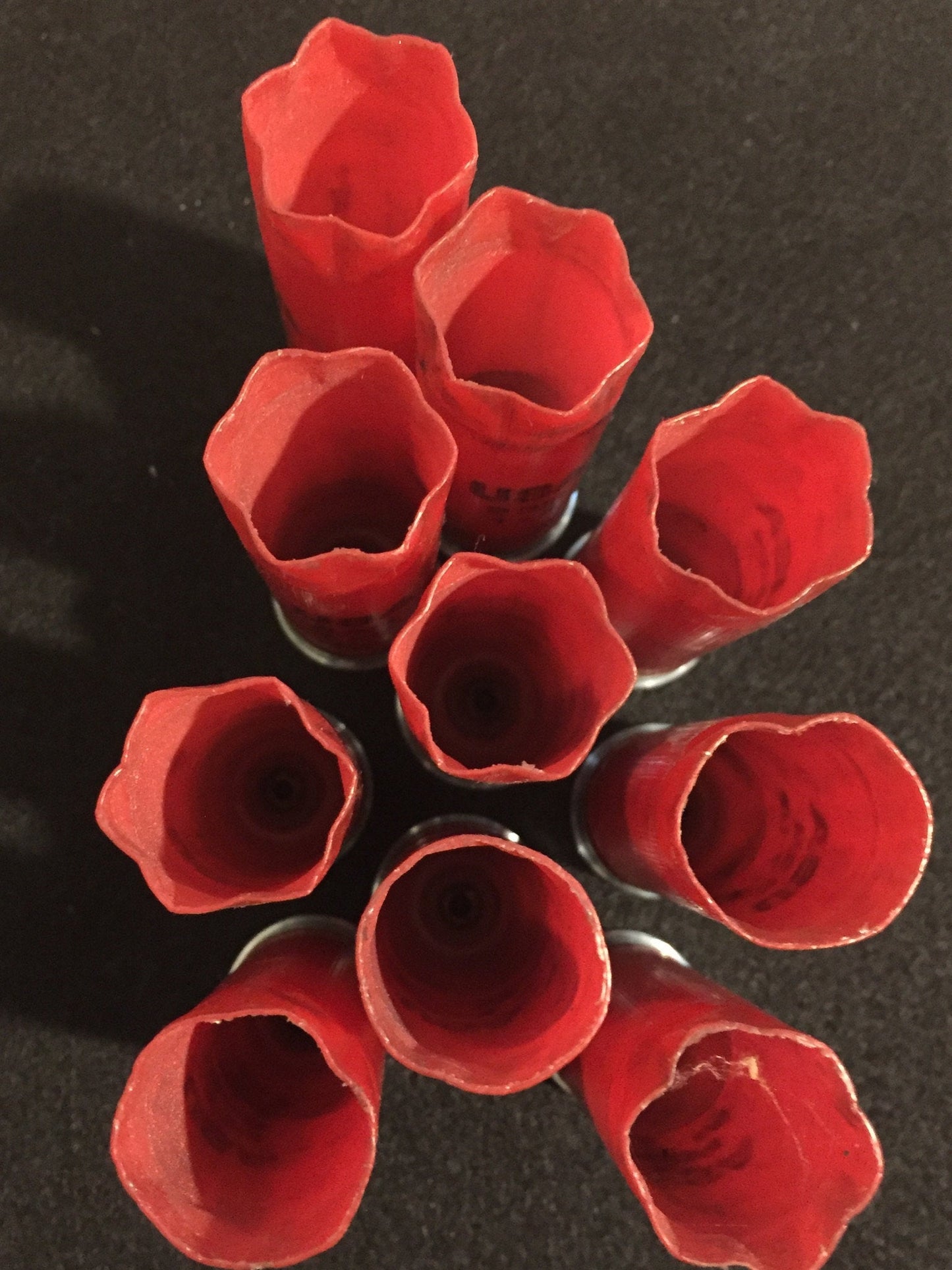 Nine red shotgun shells viewed from above showing open fluted crimped tops