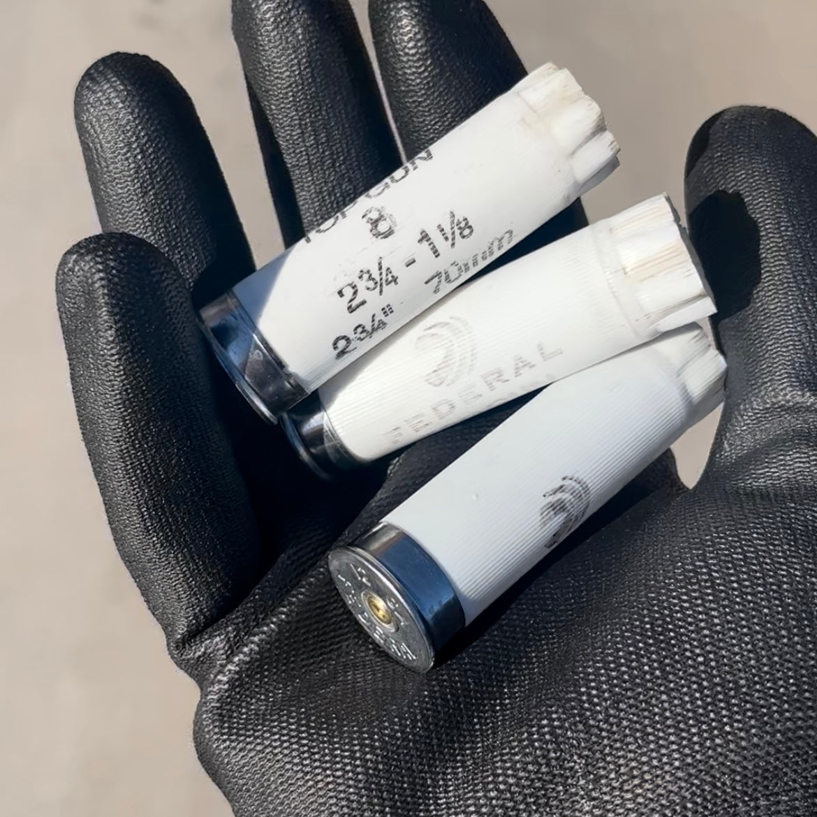 Empty Shotgun Shells White