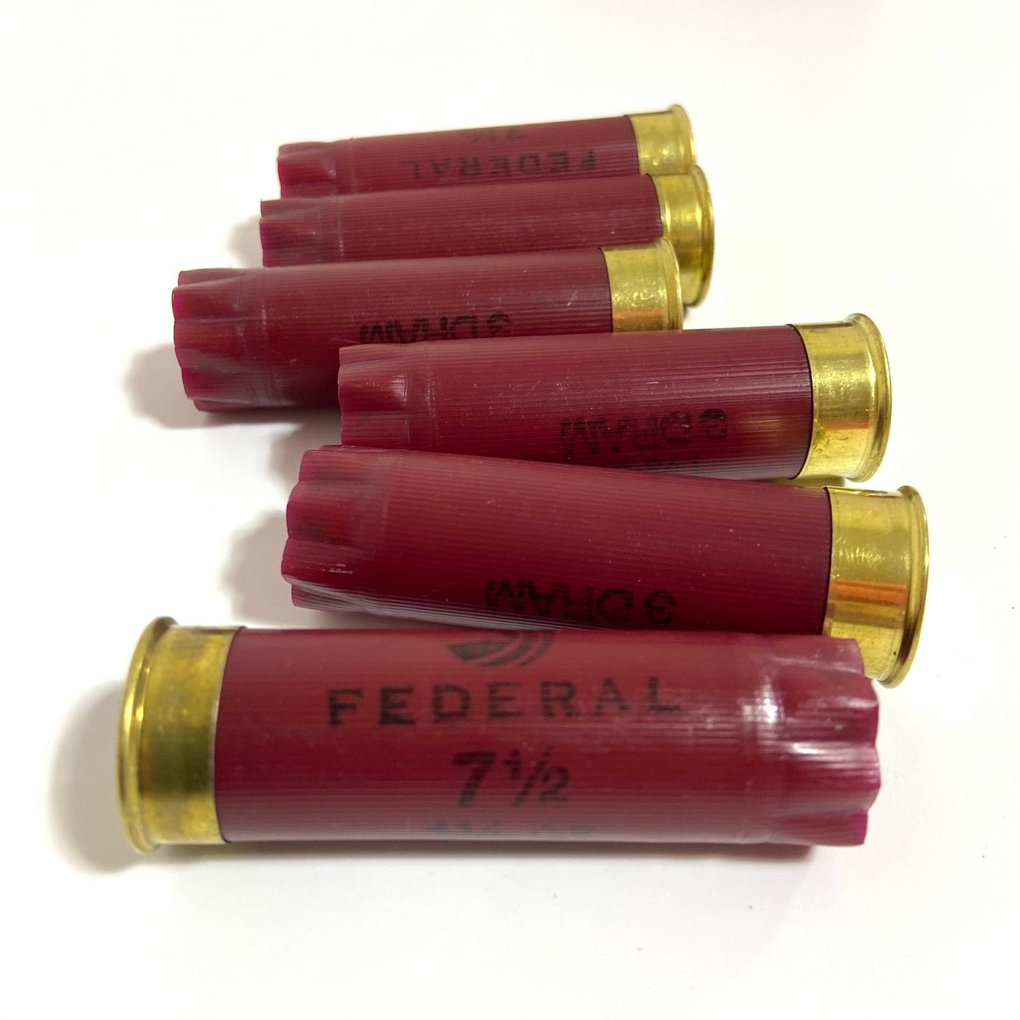 Several empty dark red Federal twelve gauge shotgun shells lying horizontally on a clean white surface.