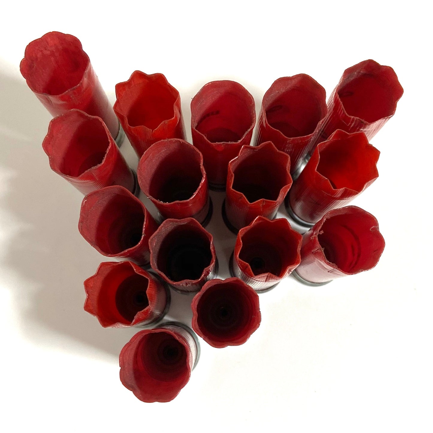 Direct overhead view of ten red 12 gauge shotgun casings showing open, 8 star-crimped top ends on a white background.