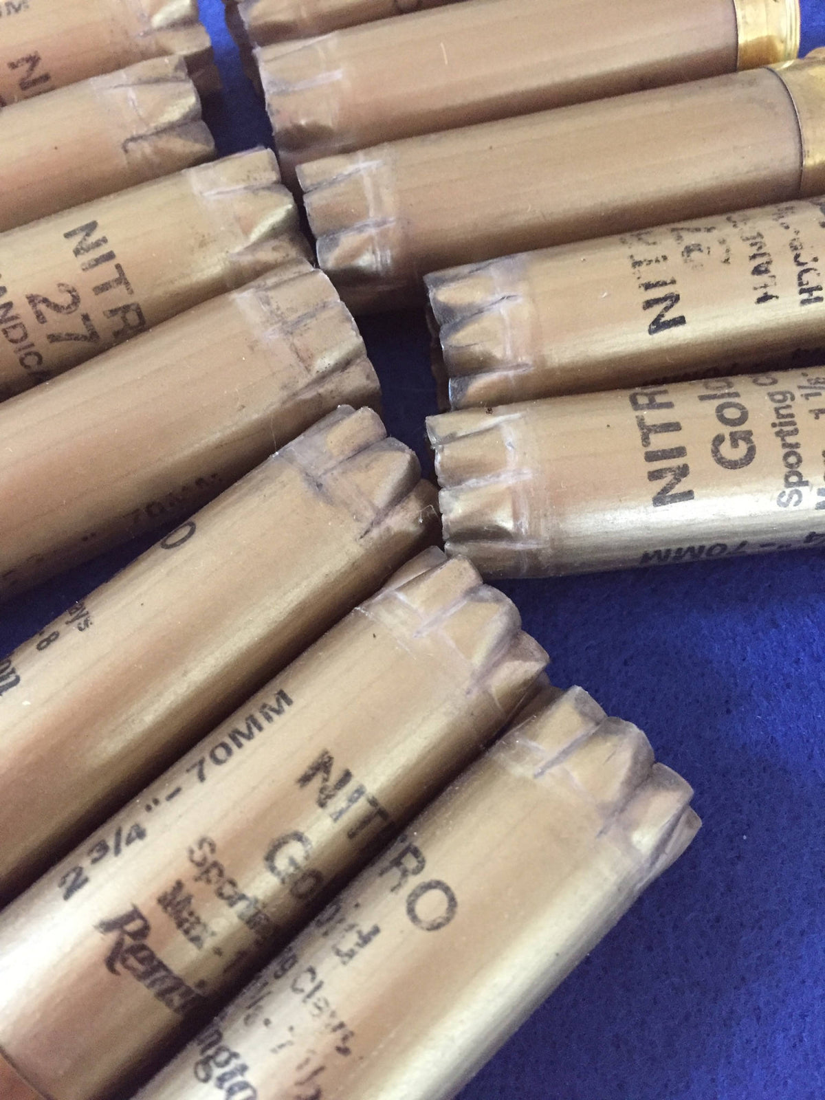 Closeup of gold Remington Nitro shotgun shells arranged in a circular fan, showing star-crimped tops and printed “2 3/4-70mm” markings