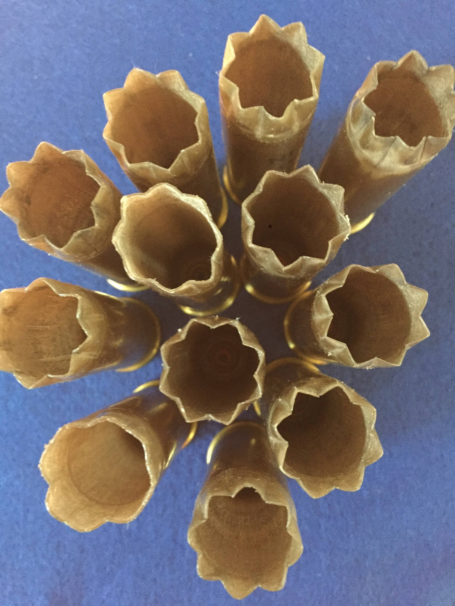 Gold Remington Nitro shotgun shell hulls viewed from above in a circular arrangement, showing open star-crimped mouths