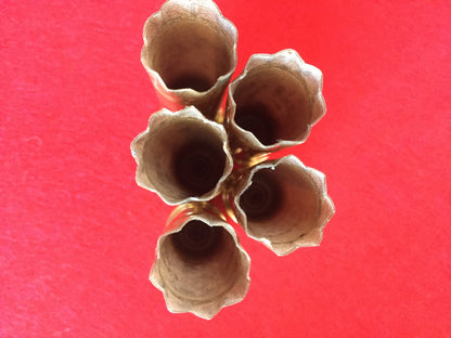 5 open mouths of gold Remington Nitro shotgun shells viewed from above on a red surface