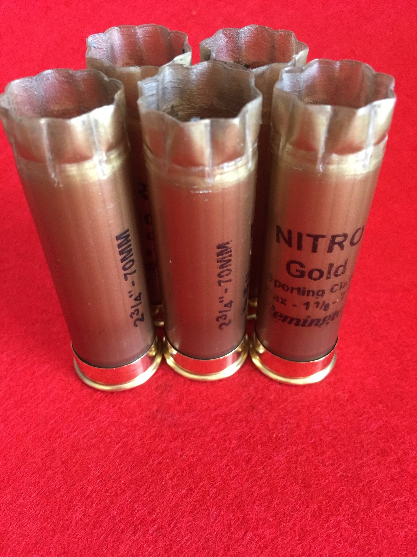 5 gold Remington Nitro shotgun shells standing with open mouths on a red surface