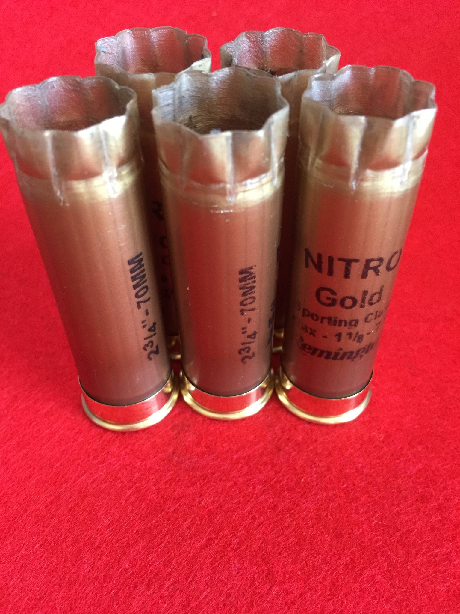 5 gold Remington Nitro shotgun shells standing with open mouths on a red surface