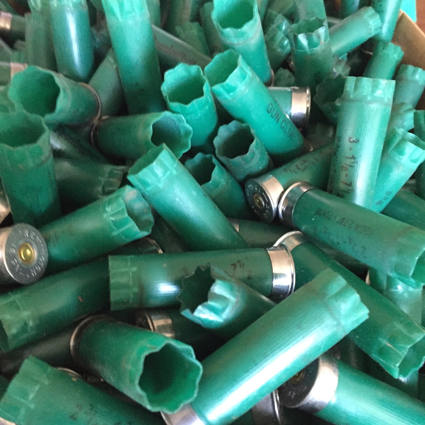 Close-up jumbled pile of once-fired green 12ga Remington Gun Club hulls with silver bases mixed in