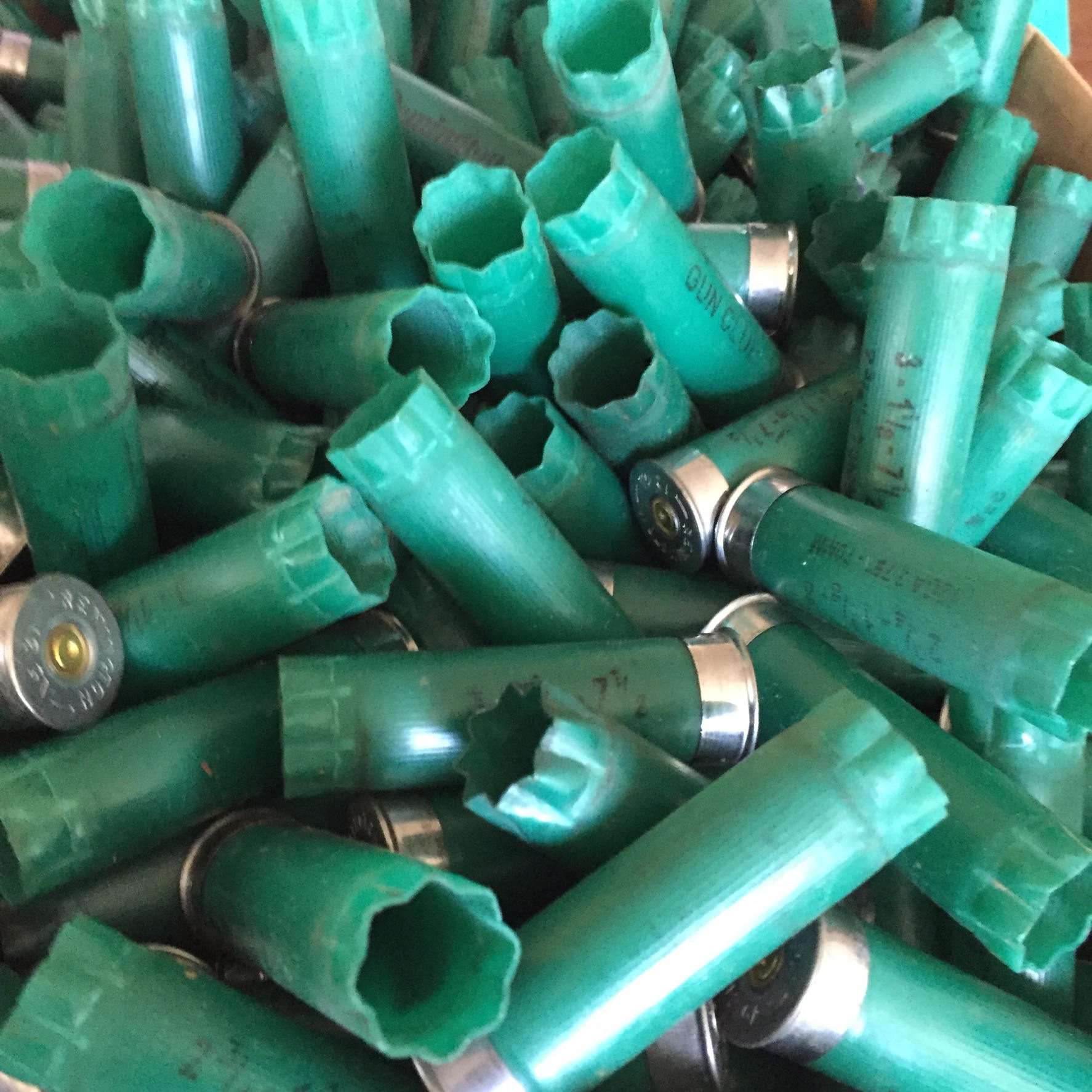 Close-up jumbled pile of once-fired green 12ga Remington Gun Club hulls with silver bases mixed in