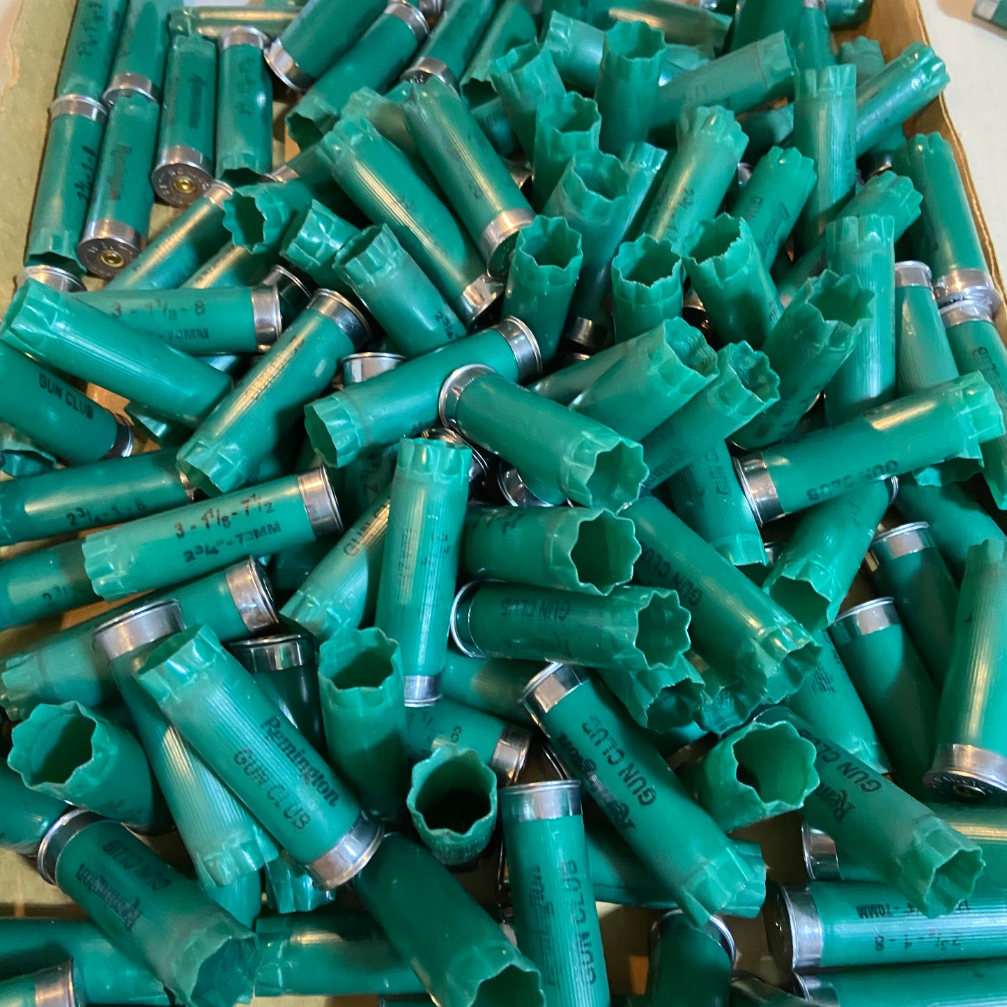Large loose pile of used green 12ga Remington Gun Club casings with silver bases in a cardboard box