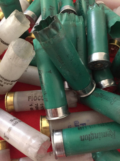 Green and translucent 12 gauge shotgun shell hulls in a pile showing brass and silver bases