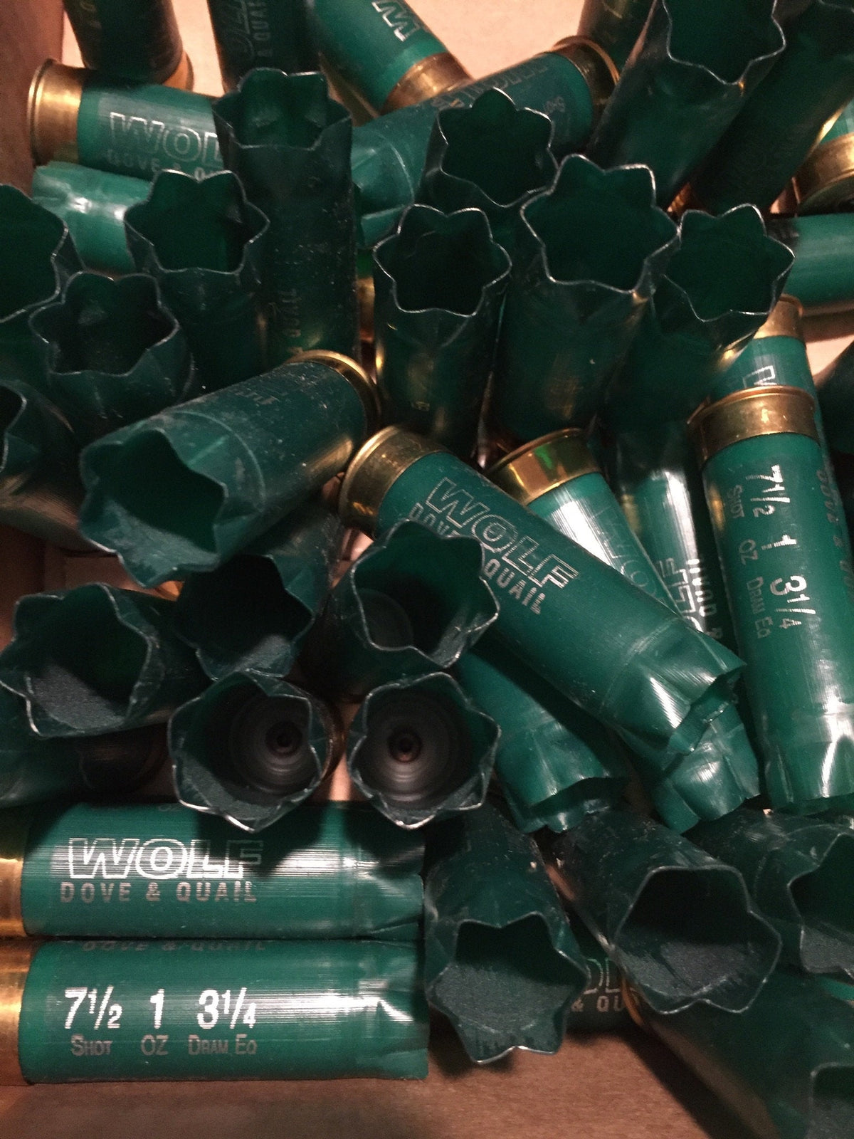 Pile of green shotgun shells showing open star-crimped mouths and printed "Wolf Dove & Quail", "7½ 1 3¼" text