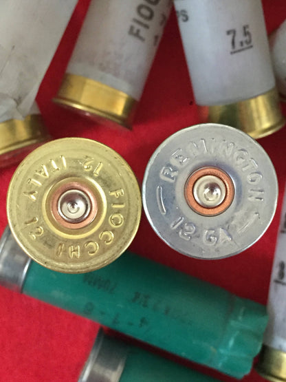 Green and Translucent White 12 Gauge Empty Shotgun Shells Once Fired Hulls - Qty 240 Pcs
