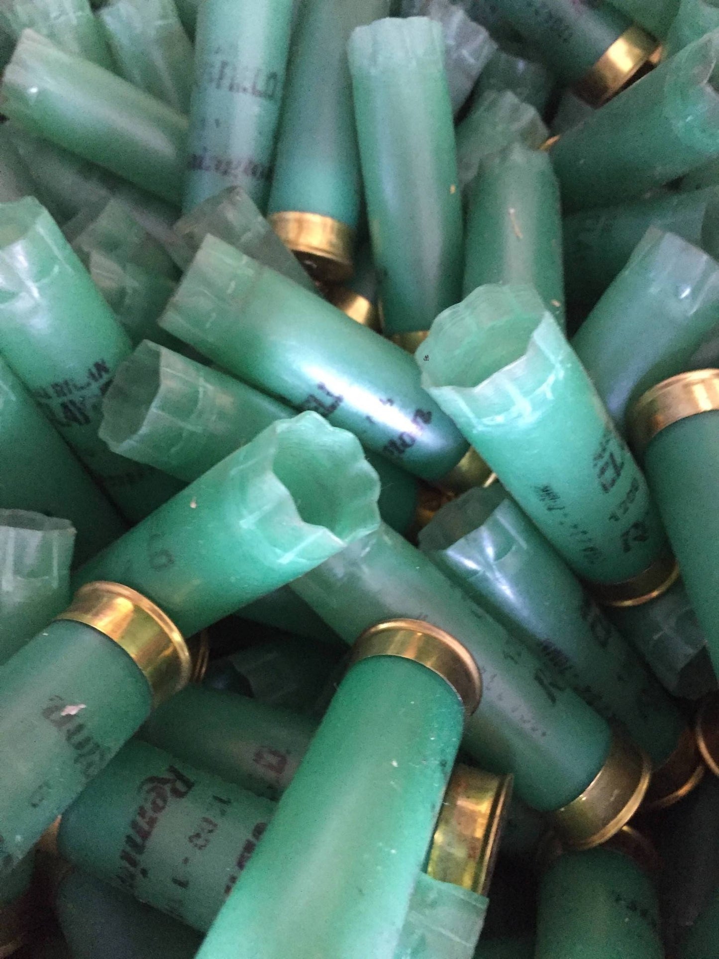 Spent Shotshells 12 GA Cartridges Ammo