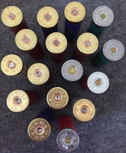 Empty Shotgun Shells Empty & Cleaned Casings - Empty Ammo Spent 12 Gauge Cartridge Shells White Red Blue Green Black