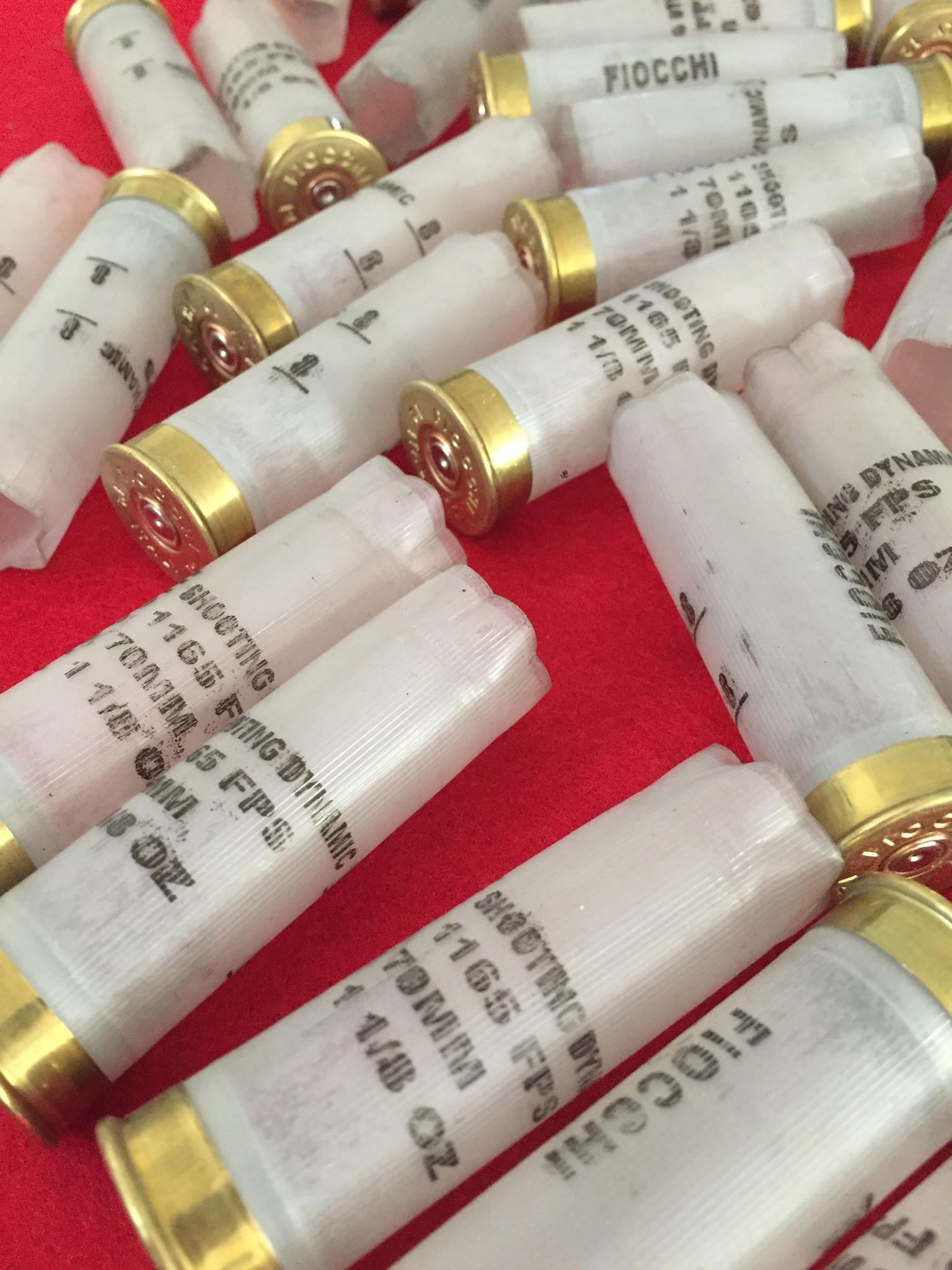 Clear Shotgun Shells