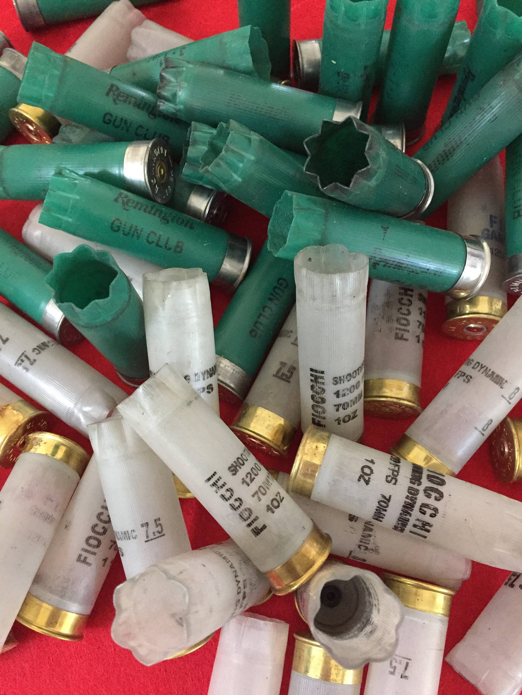 Green and Translucent White 12 Gauge Empty Shotgun Shells Once Fired Hulls - Qty 240 Pcs