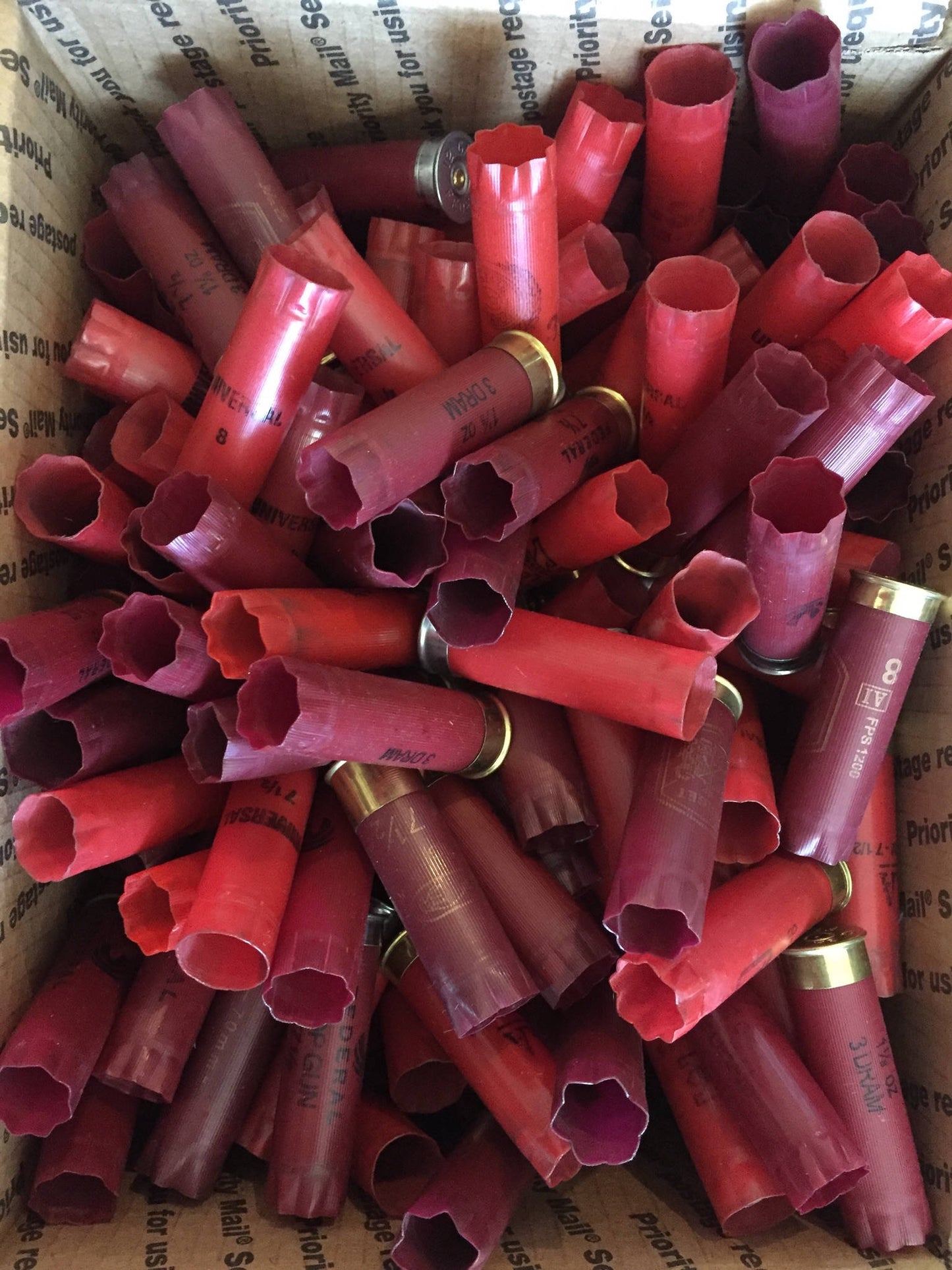 Once Fired Shotgun Shells Red
