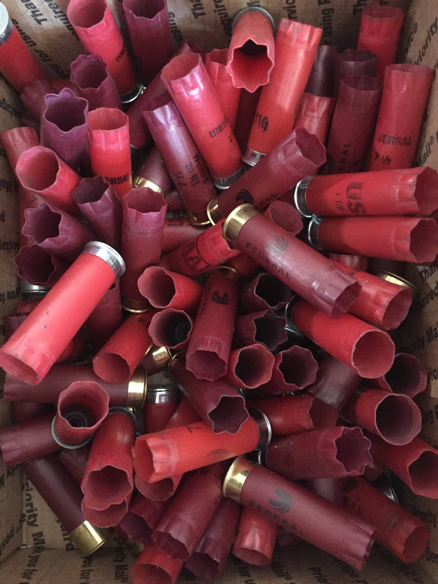 Empty 12 Gauge Shotgun Shells
