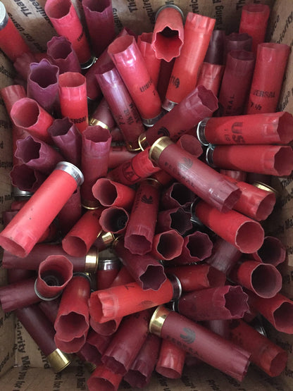 Empty 12 Gauge Shotgun Shells