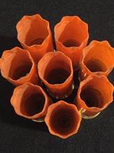 Load image into Gallery viewer, Winchester AA Empty Blank Shotgun Shells 12 Gauge 
