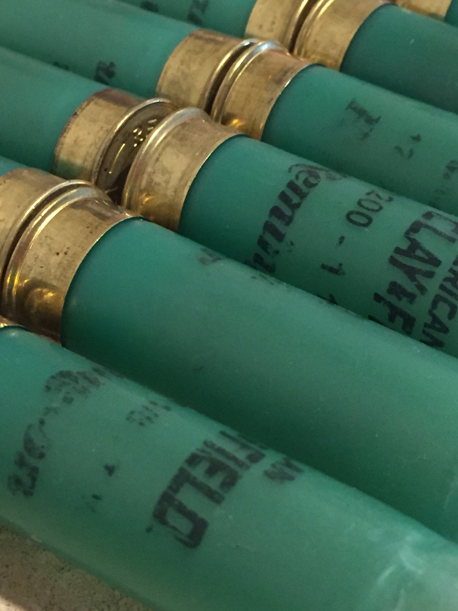 Empty Shotgun Shells 12 Gauge