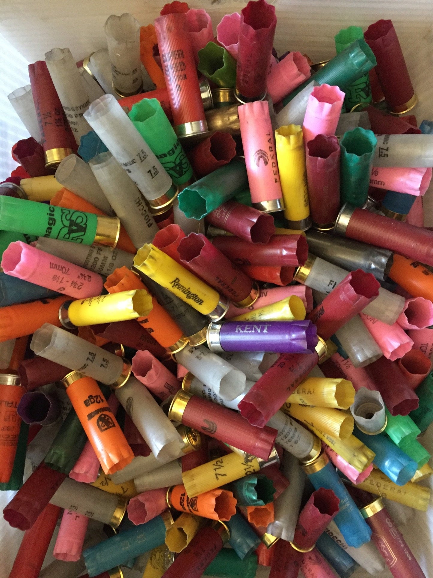 Used Empty 16 Gauge Shotgun Shells