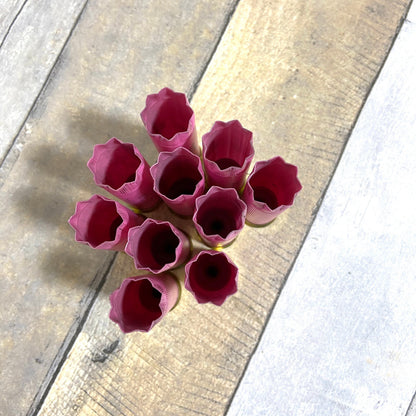 Empty Shotgun Shells Pink Star Crimp