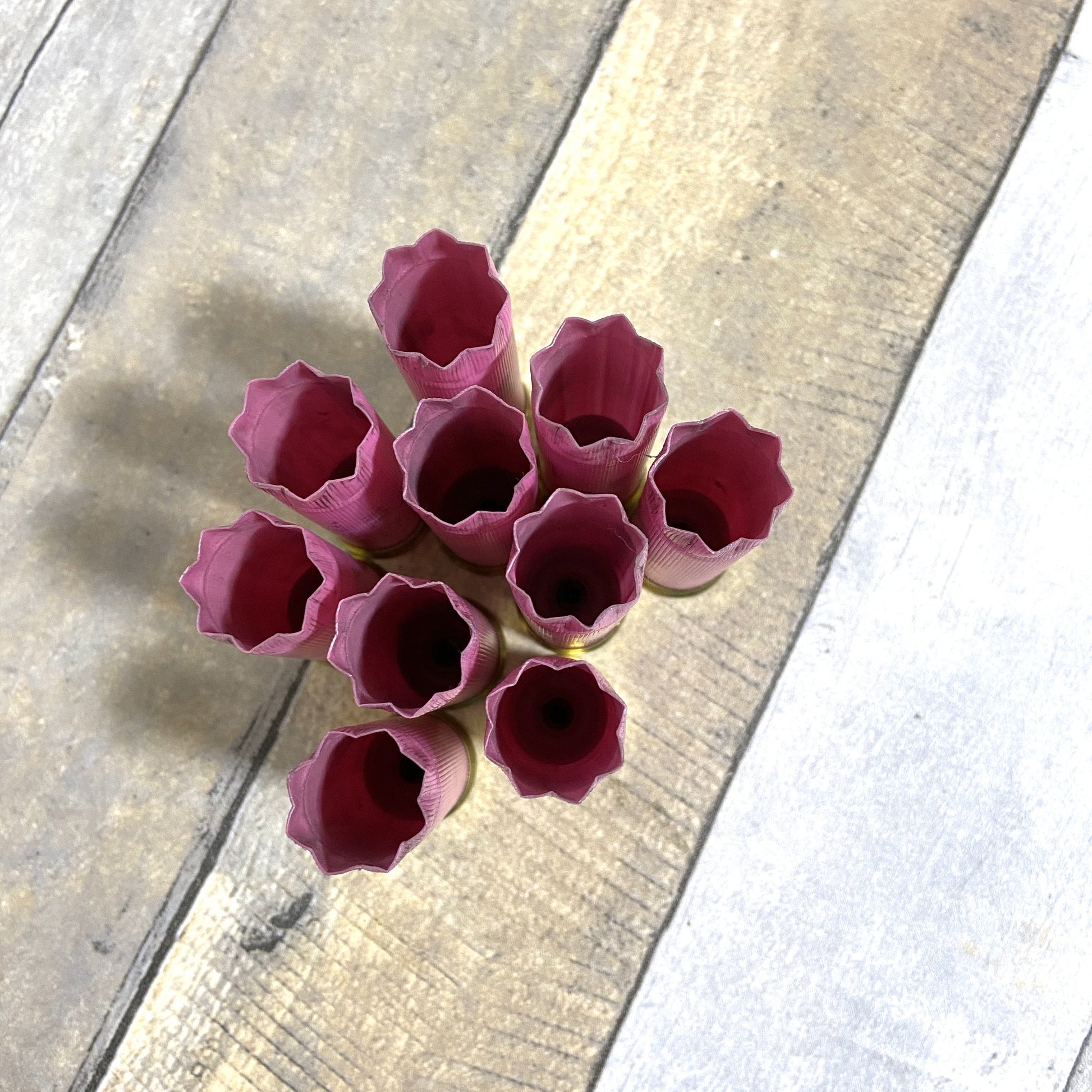 Empty Shotgun Shells Pink Star Crimp