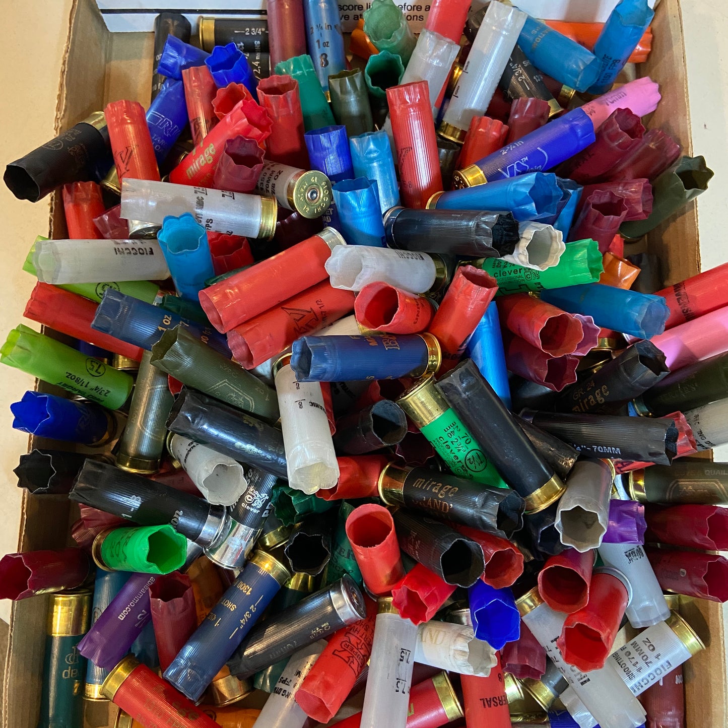 Empty Shotgun Shells Various Colors