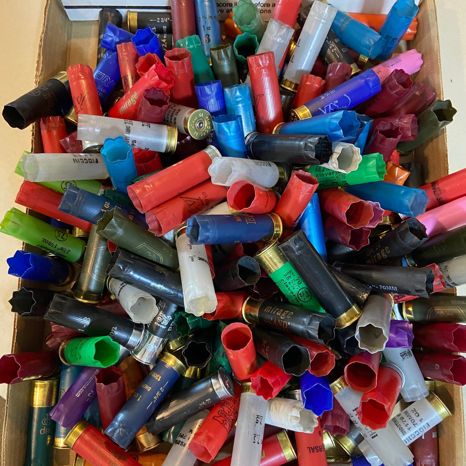 Empty Shotgun Shells Various Colors