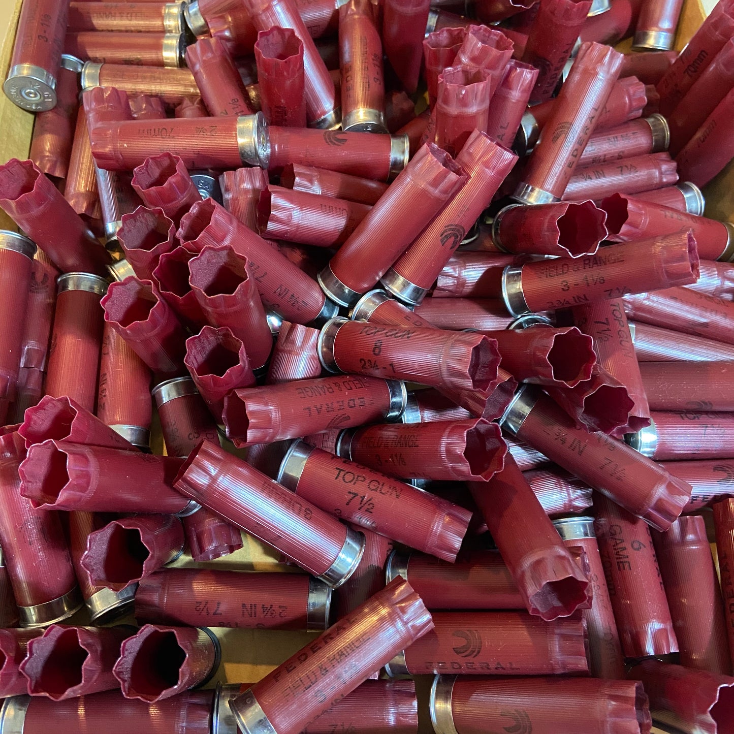 Once Fired 12GA Hulls Burgundy Maroon