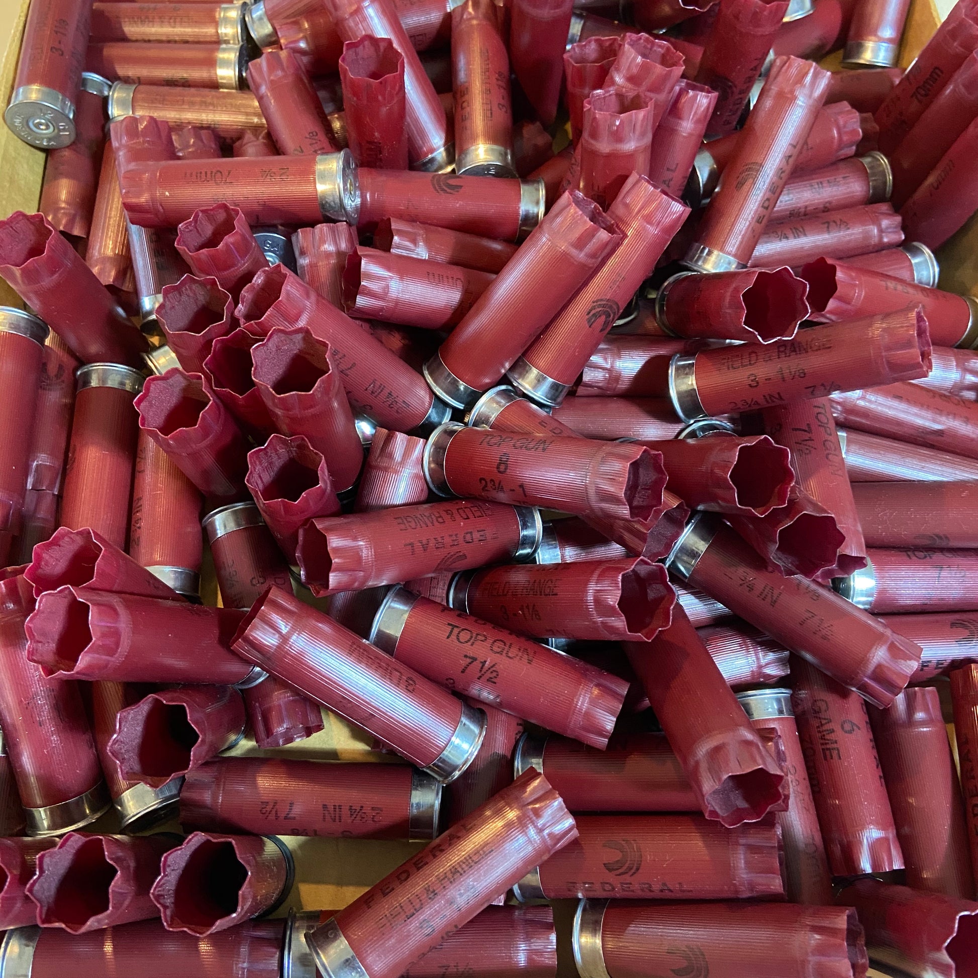 Once Fired 12GA Hulls Burgundy Maroon