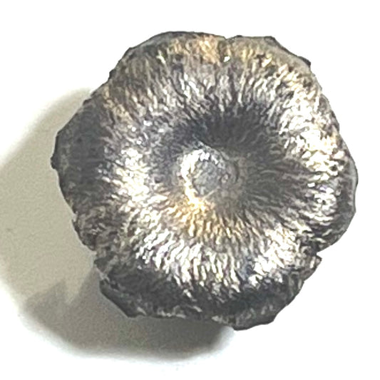 9MM Bullet Blossoms Silver Gray Qty 3 Pcs