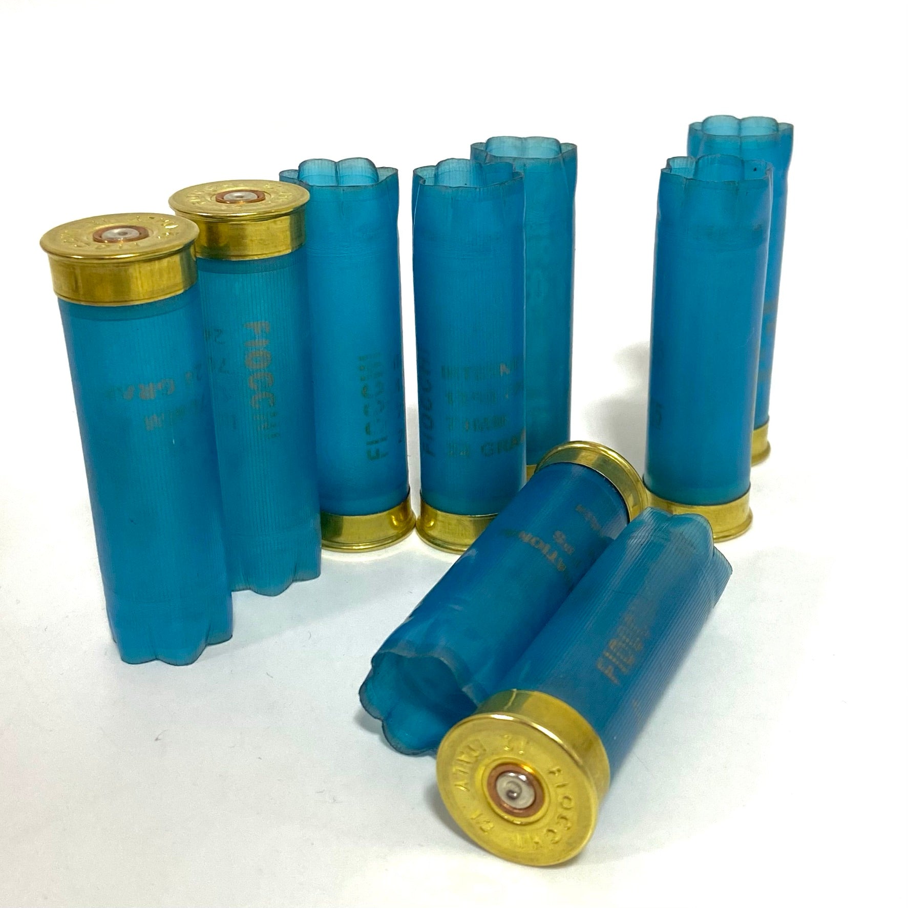 Eight light blue Fiocchi 12 gauge empty shotgun shells with gold bases standing and lying on a white background