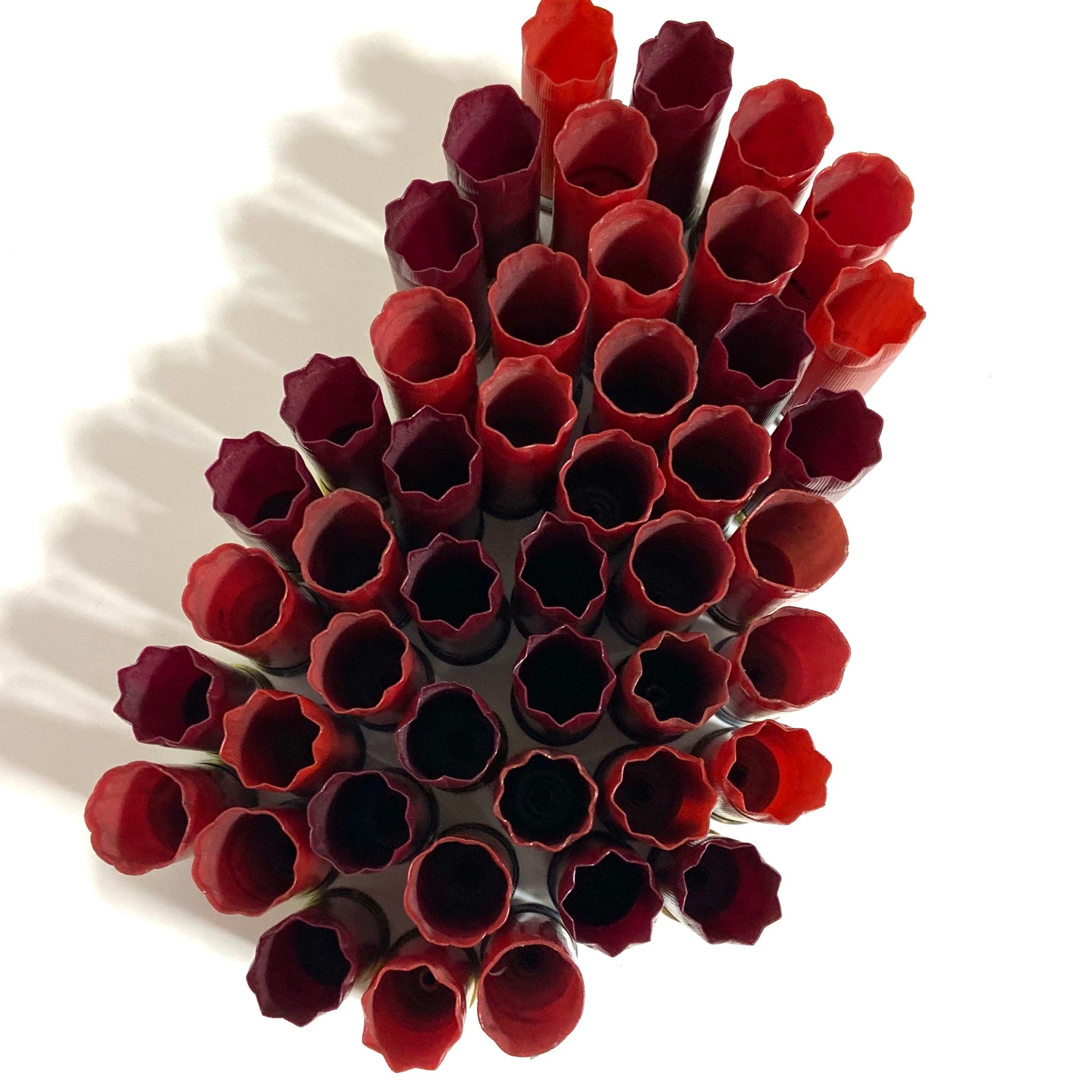 Star Crimped Red Shotgun Shells Empty Hulls 