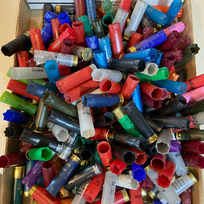 Mixed 12 gauge shotgun hulls in a box showing assorted colors, crimps, and headstamps