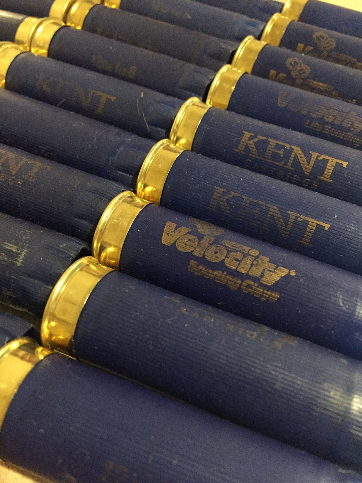 Close-up of navy blue Kent Velocity shotgun shells with gold bottoms