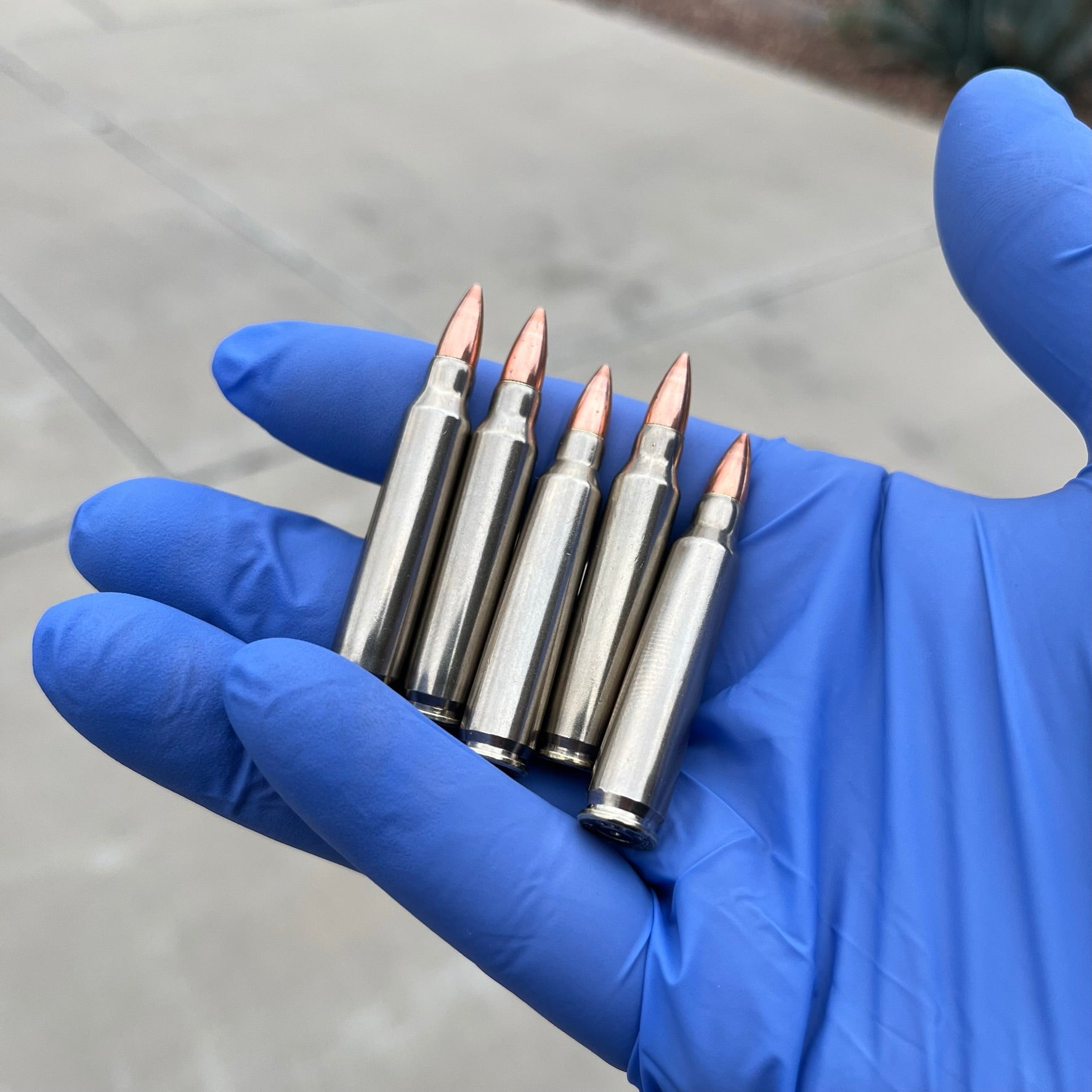 Five nickel-plated .223 dummy rifle cartridges held horizontally in a blue gloved hand against a blurred outdoor background.