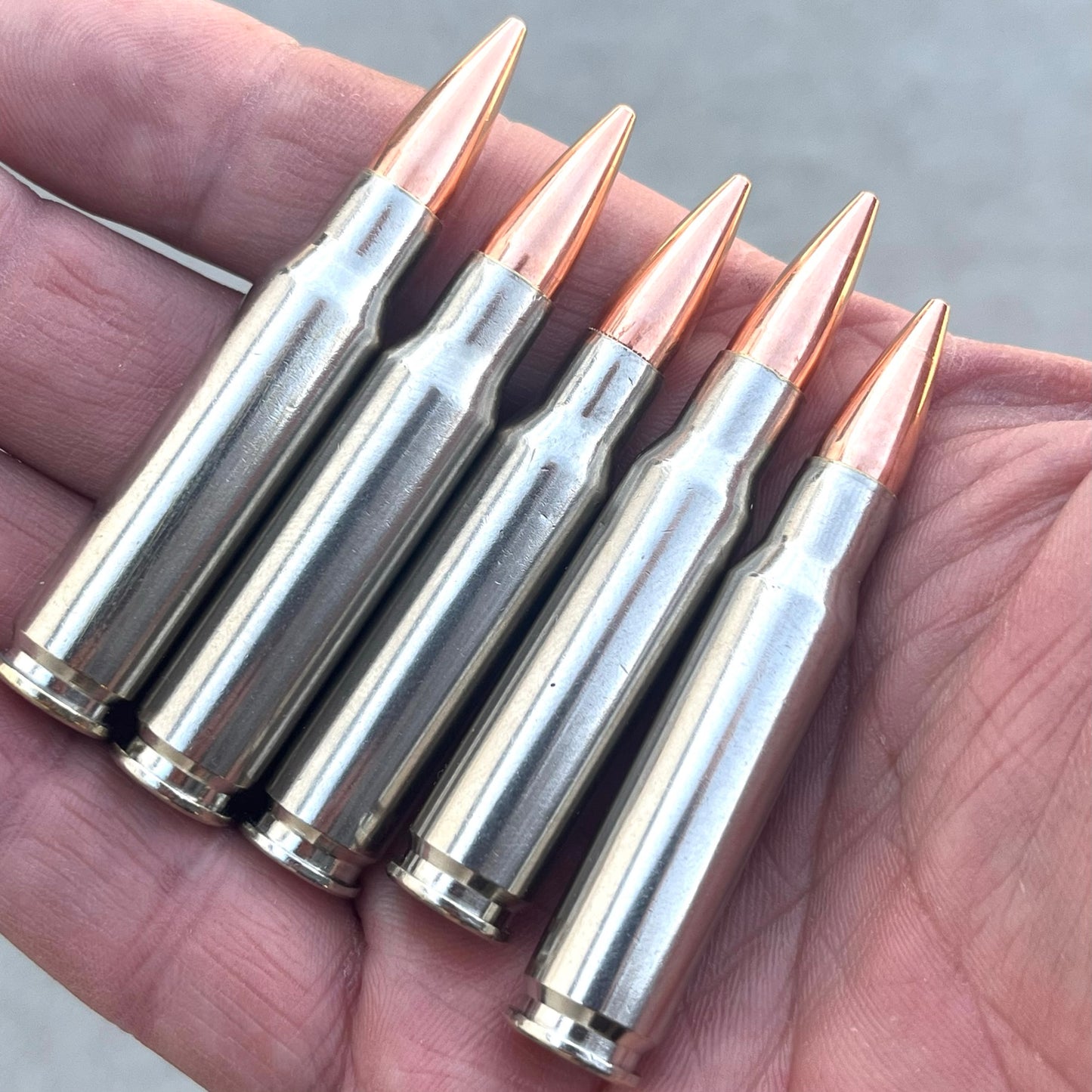 Five nickel-plated .308/7.62x51 dummy rounds fanned across an open palm