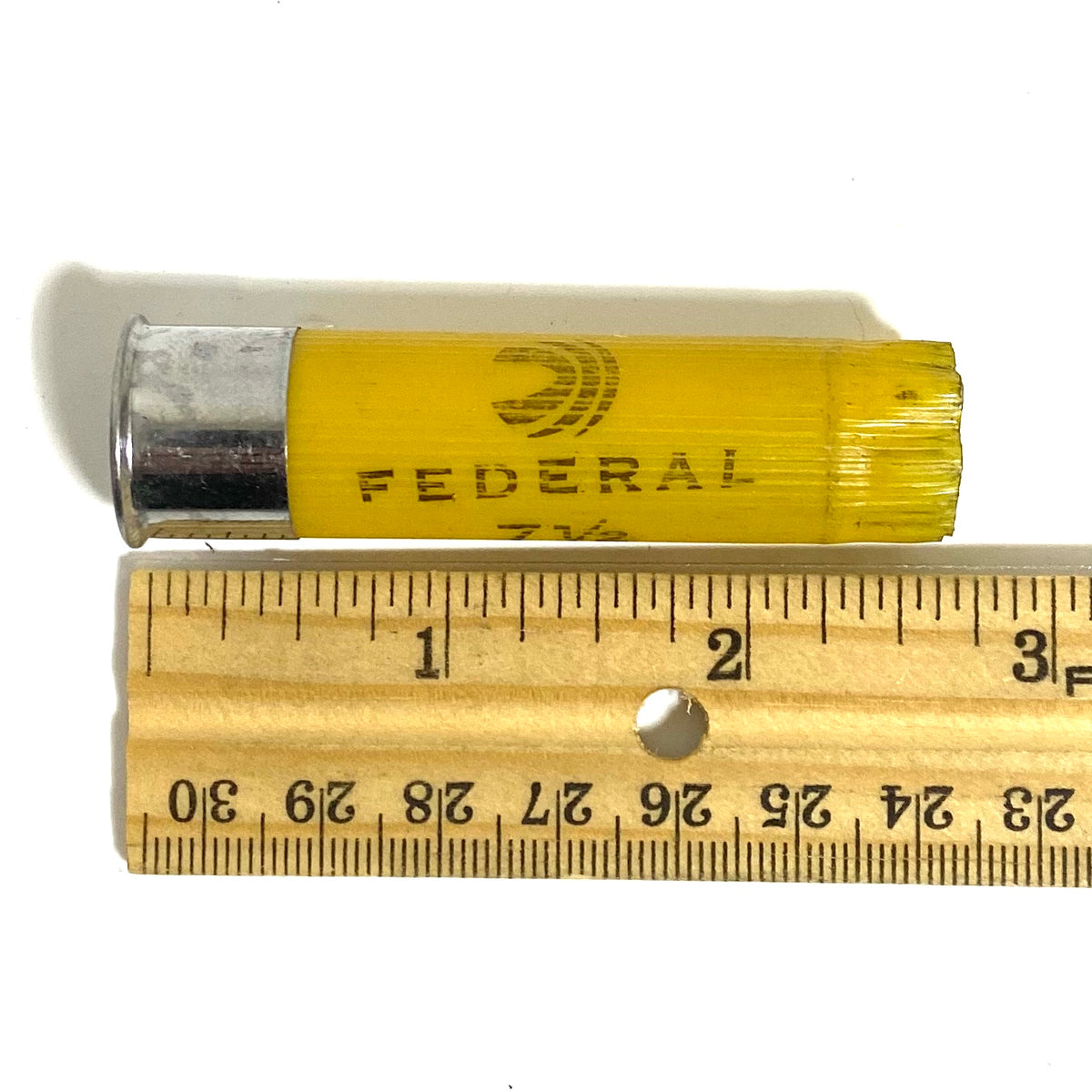 Yellow 20Gauge Shotgun Shells Empty 20GA Hulls Size Dimensions