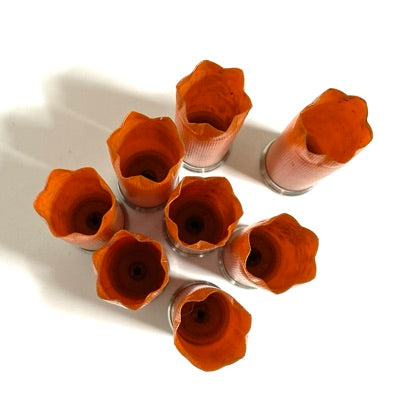 Overhead view of 8 open orange 12 gauge blank shotgun shell hulls arranged in a circle