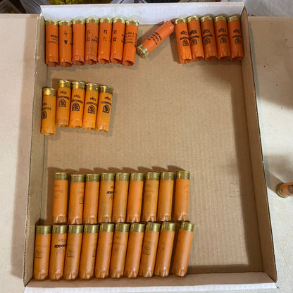 Rows of empty orange shotgun shells with gold bases sorted in a cardboard box