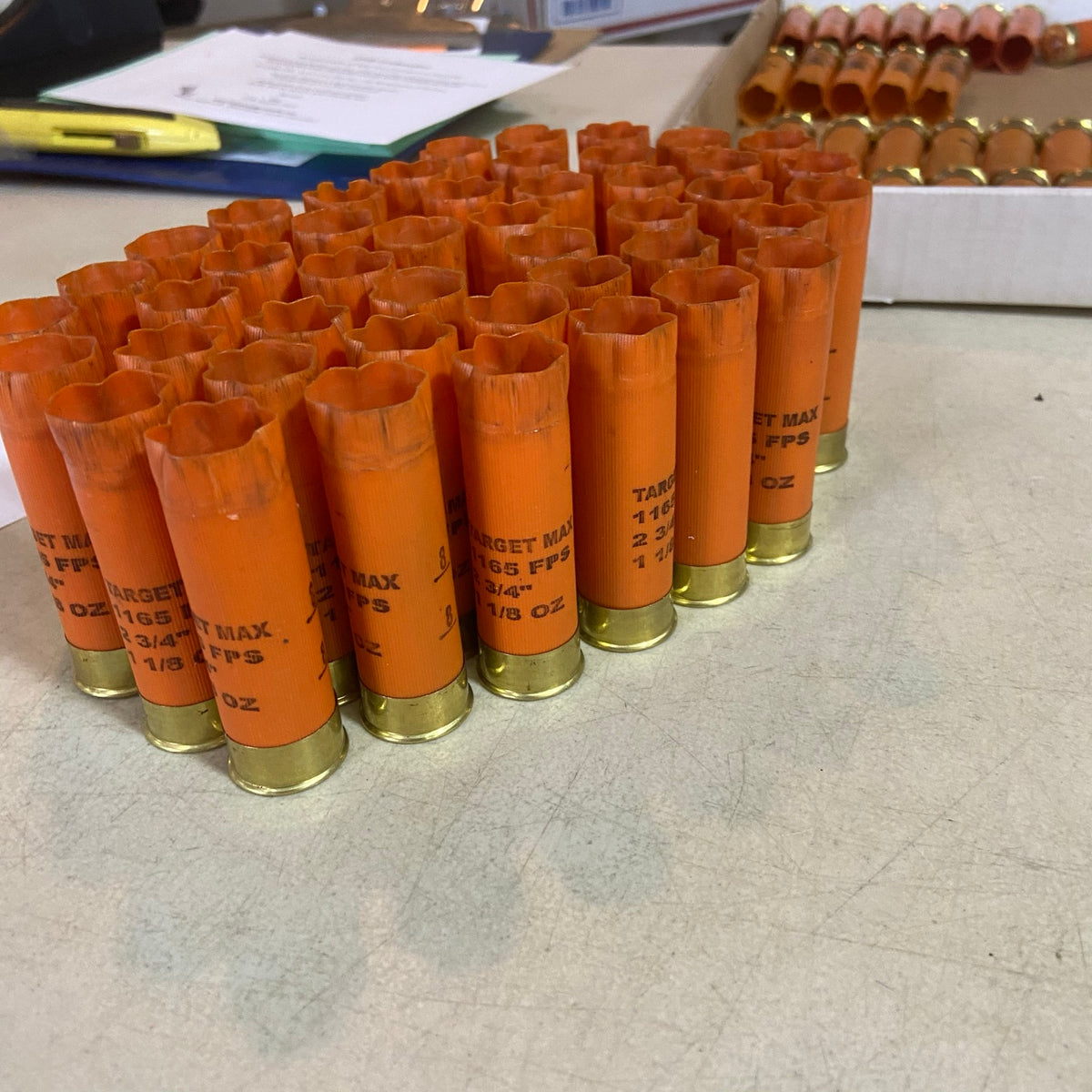 Rows of empty orange Target Max shotgun shells with gold bases on a table
