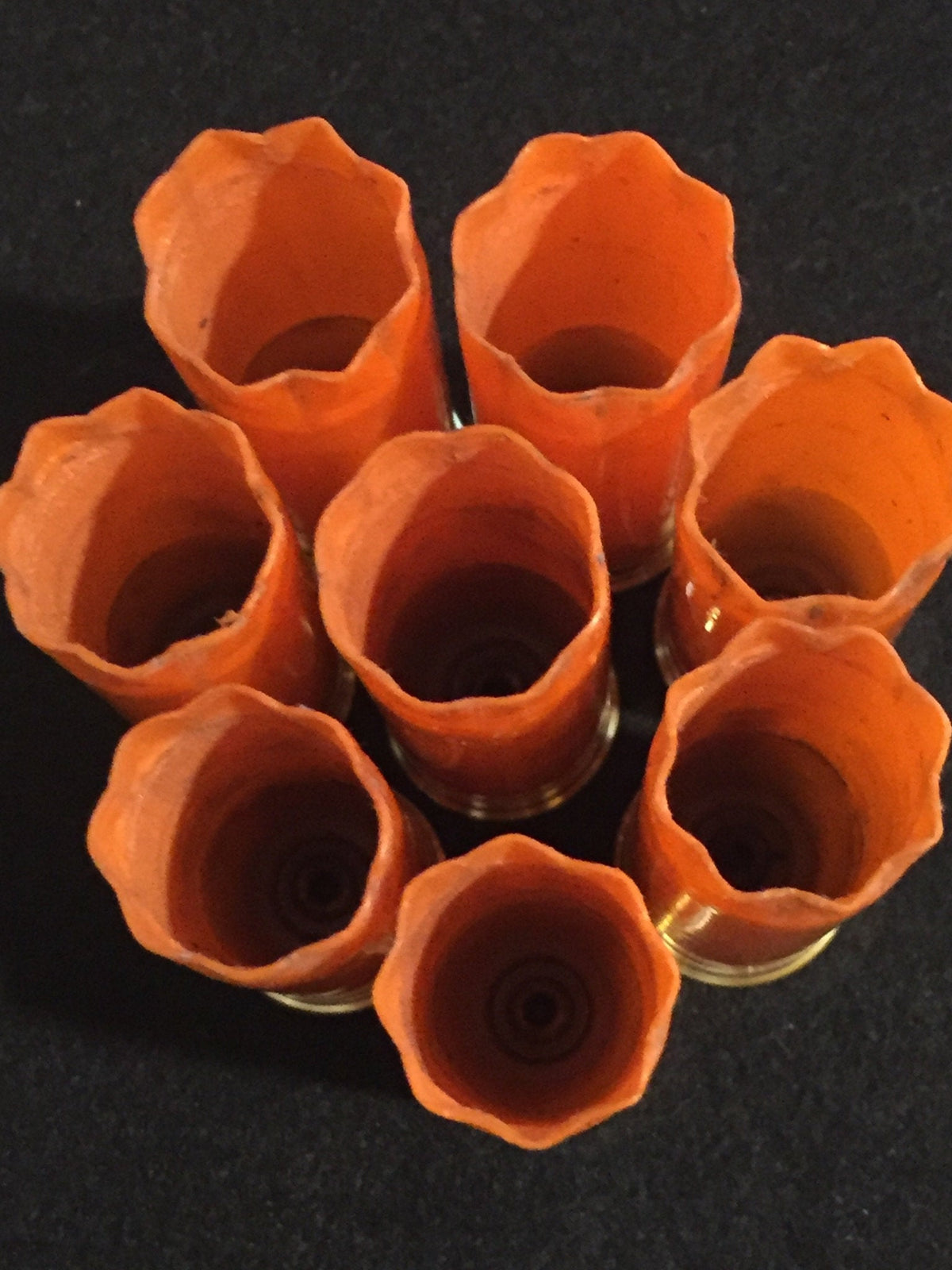 Winchester AA Empty Blank Shotgun Shells 12 Gauge 
