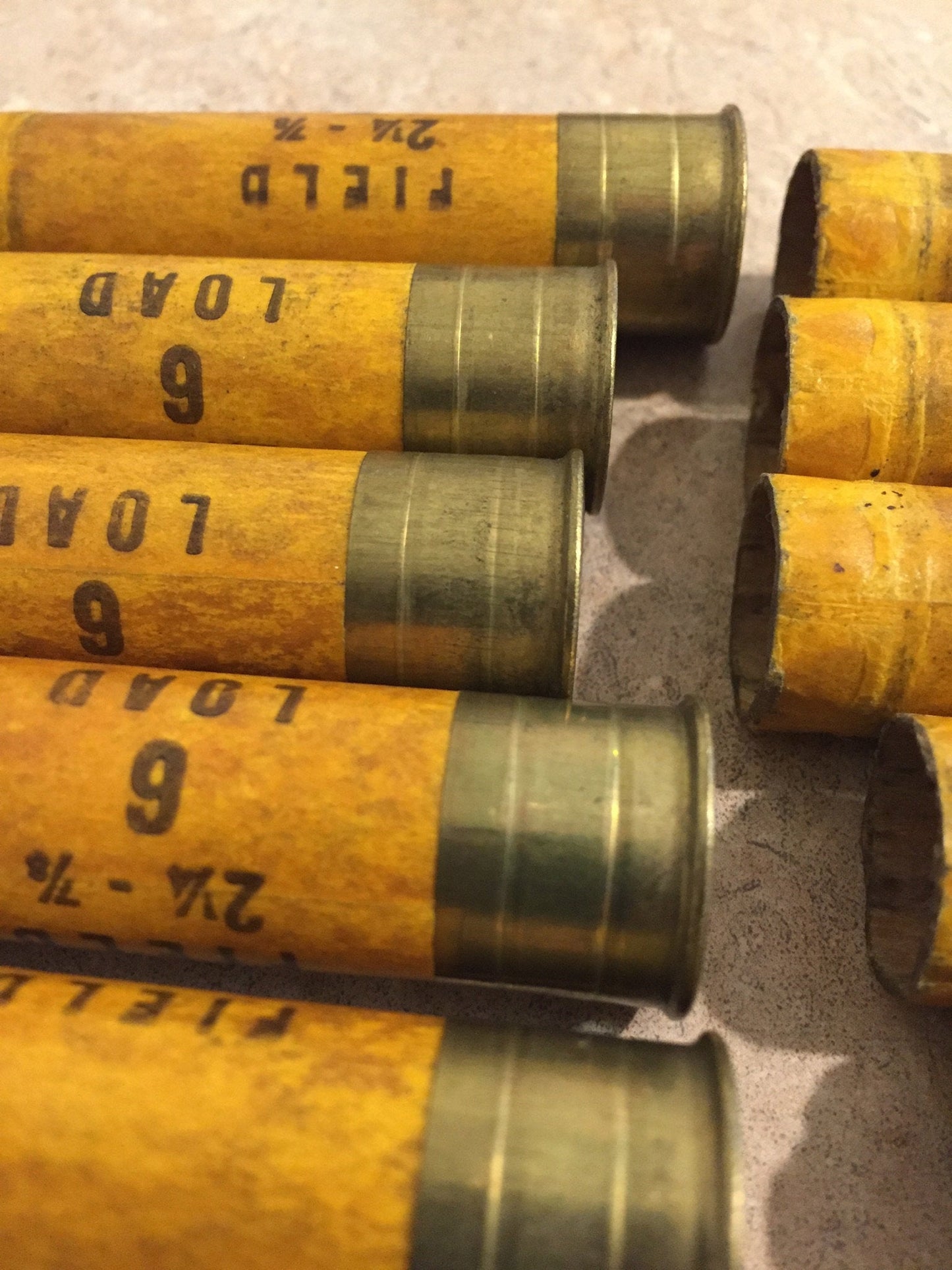 20 Gauge High Brass Hulls